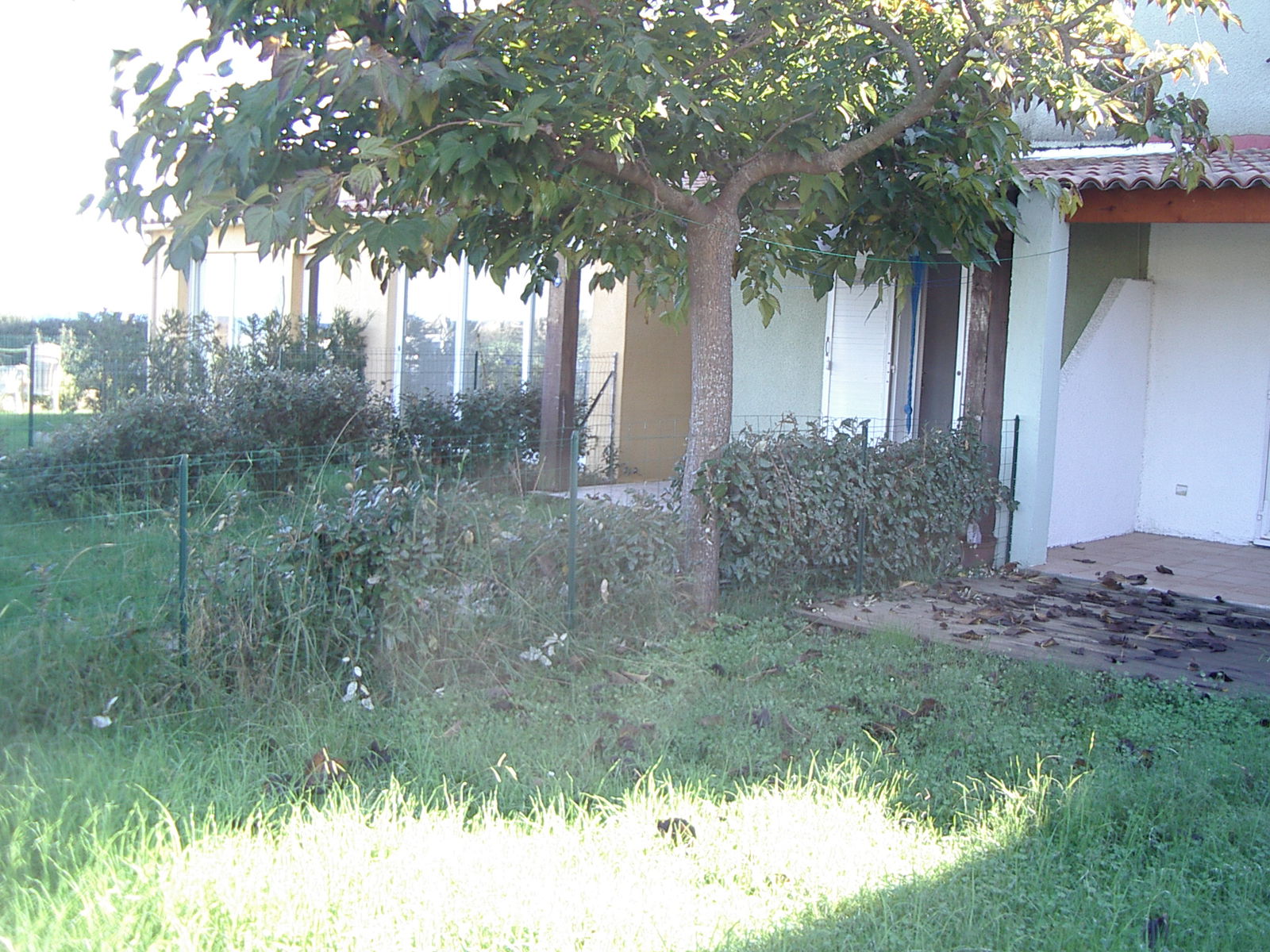 Independent Studio Poggio-Mezzana 268036