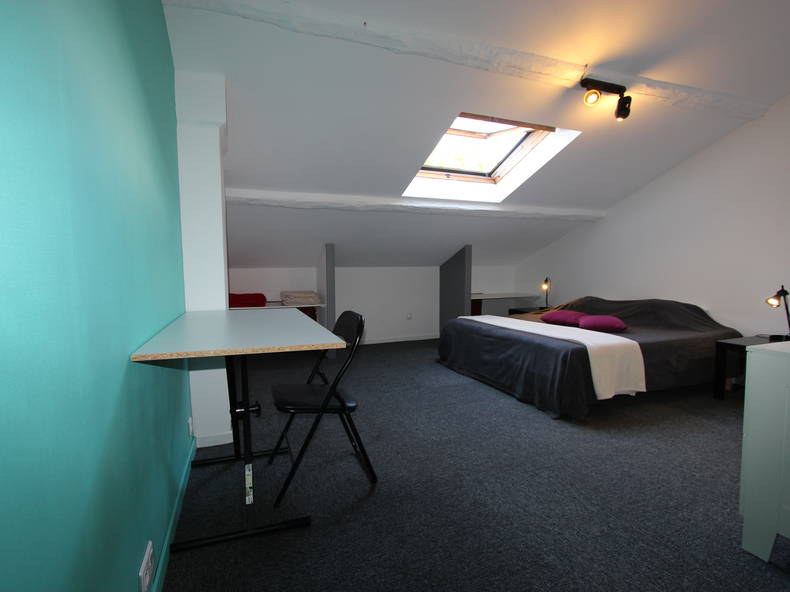 Entire Home Albi 19720-5