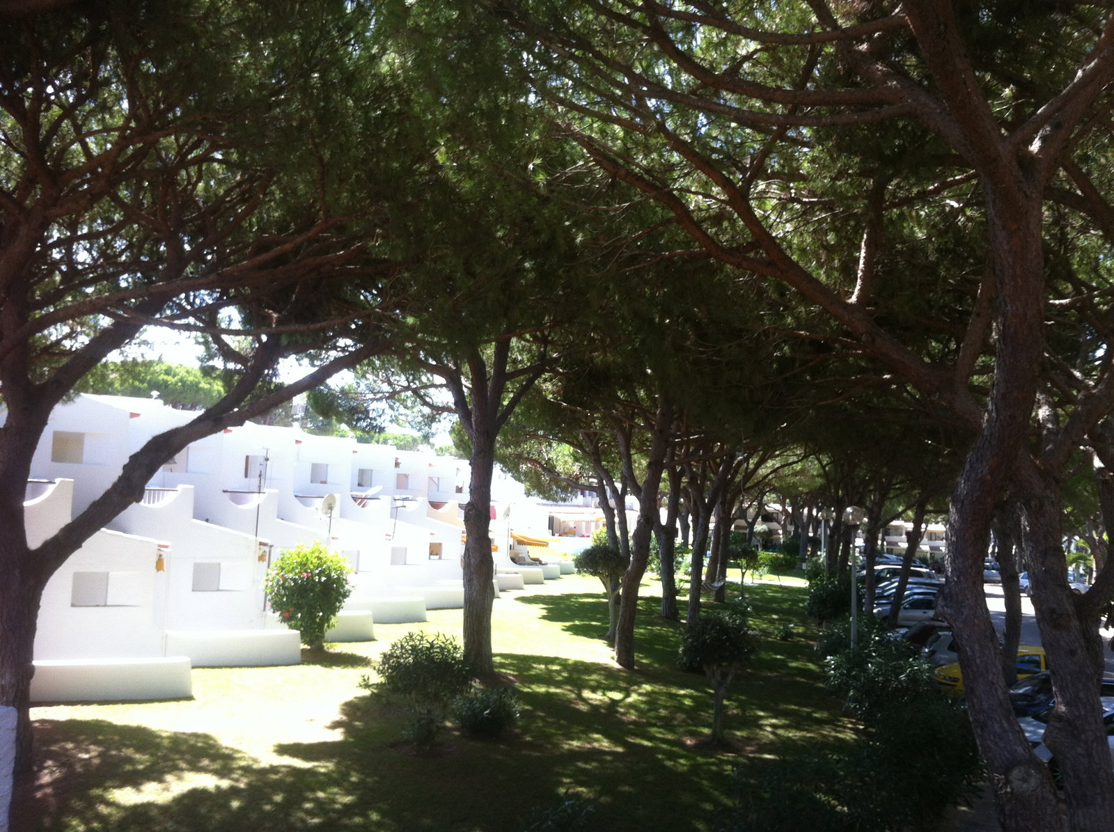 Toda La Casa Olhos de Água 227010