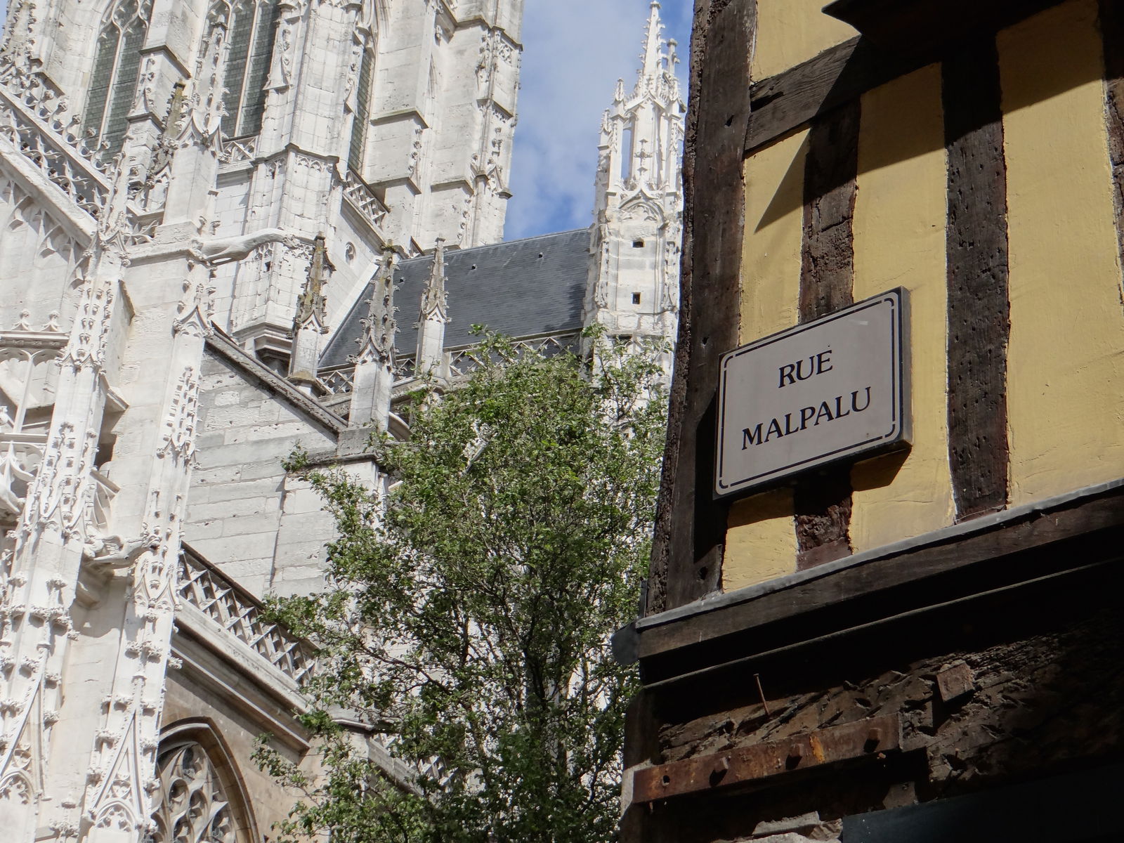 Estudio Independiente Rouen 91468