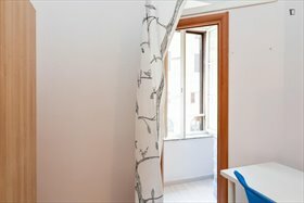 Kolokation Roma 240224