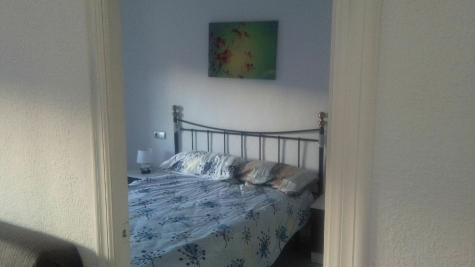 Homestay Alacant 168614