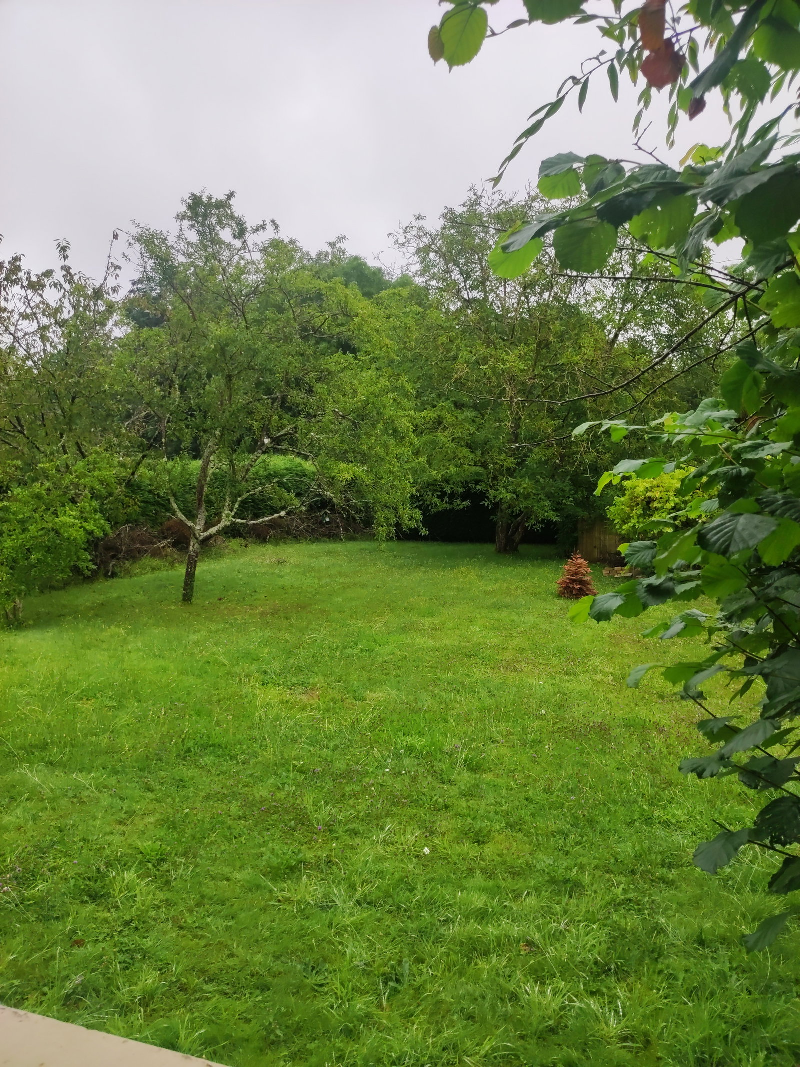 Homestay Émancé 484033