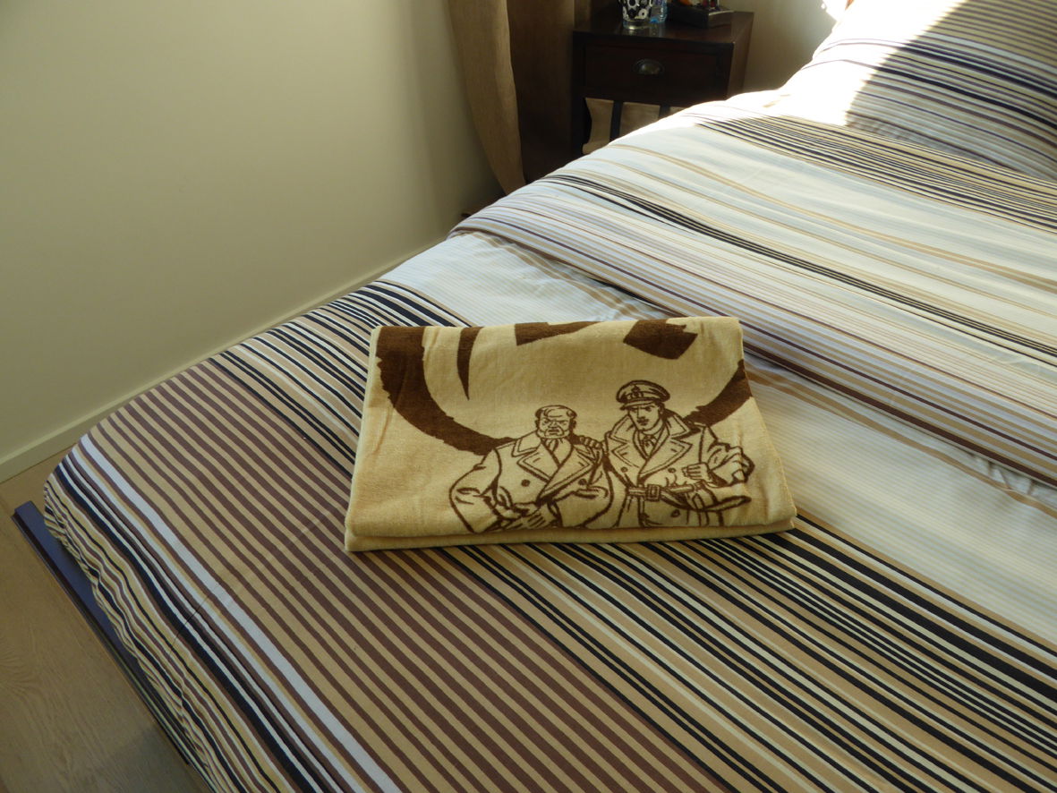 Homestay Molenbeek-Saint-Jean 113213