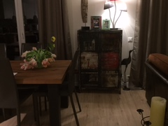 Chambre Chez L'habitant Saint-Prex 162171-6