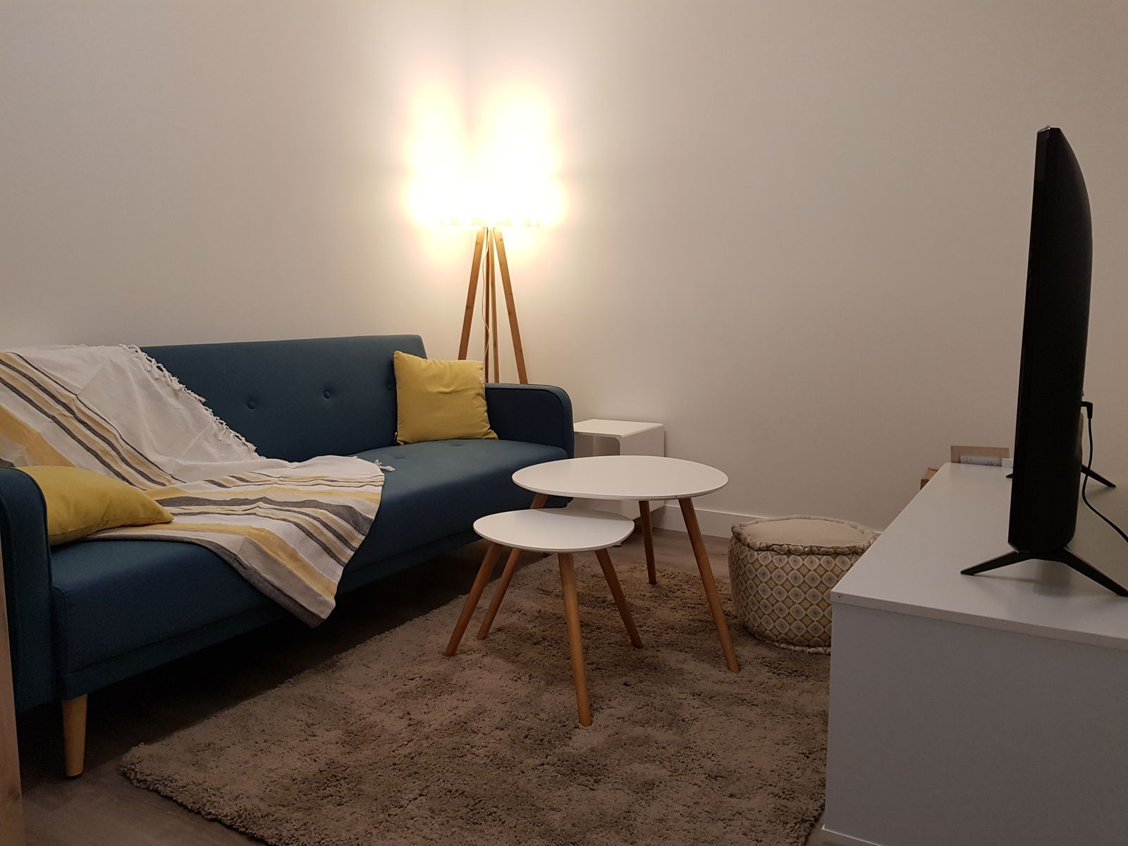 Colocation Lyon 248061