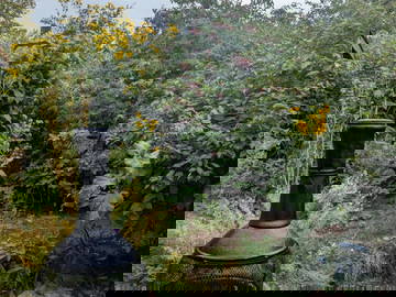 Alojamiento Compartido Kitchener 635602-1