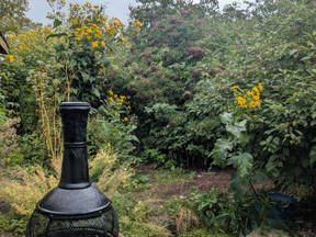 All-inclusive kamers voor vrouwen op een toplocatie in Kitchener