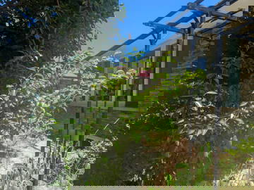 Alojamiento Compartido Kitchener 635602-2