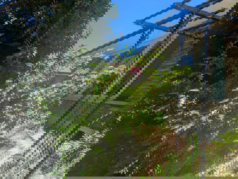 Kolokation Kitchener 635602-2