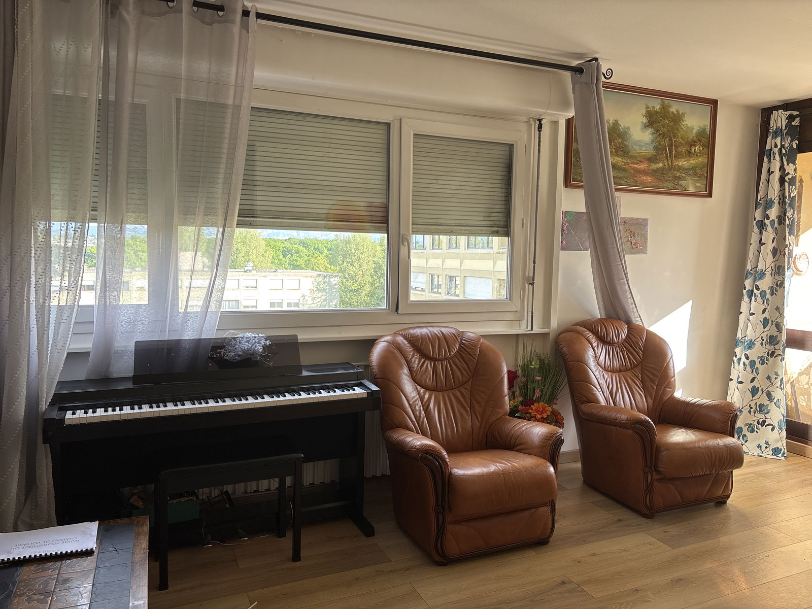Colocatie Ferney-Voltaire 515739