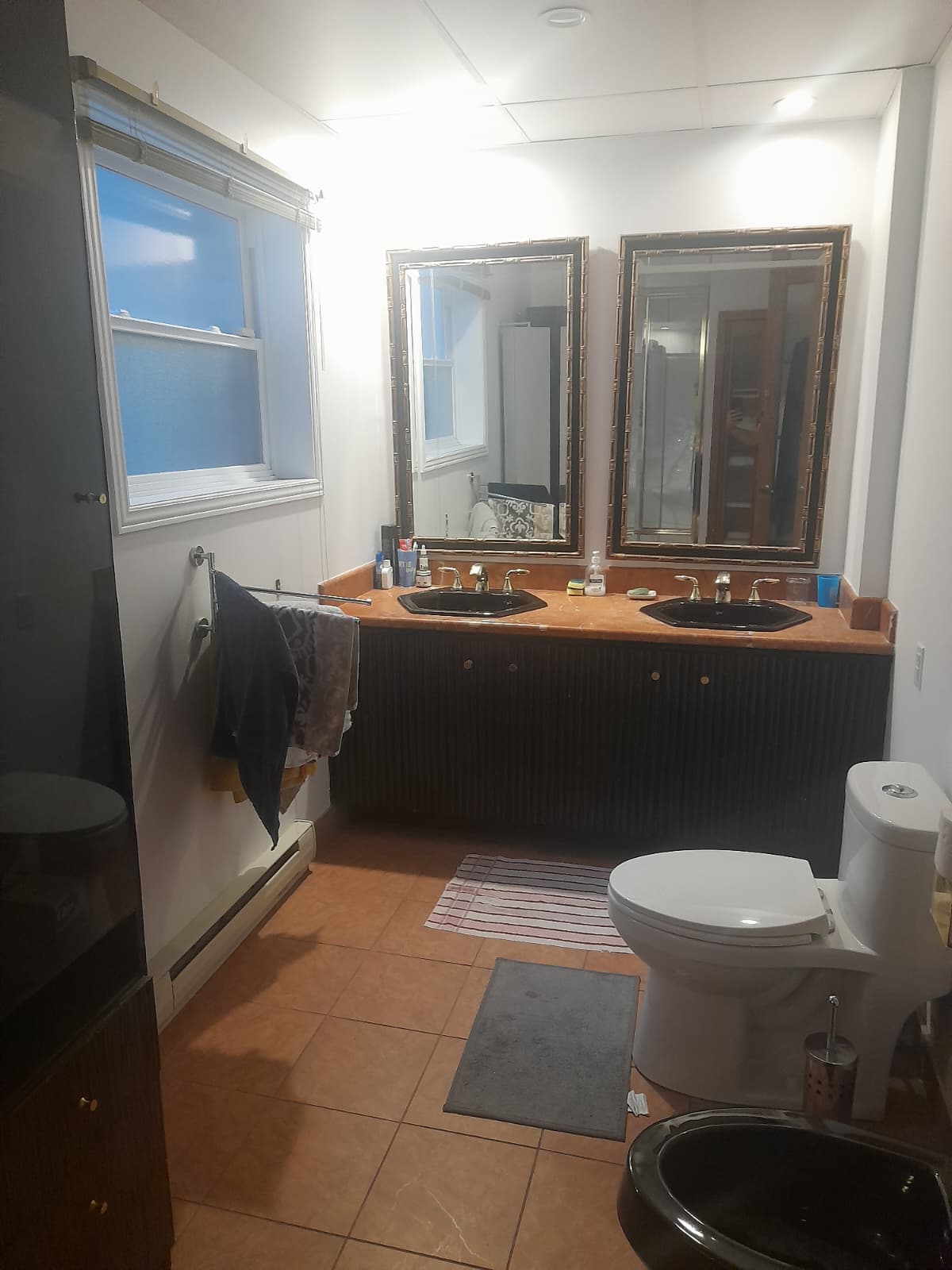 Colocatie Montréal 620736