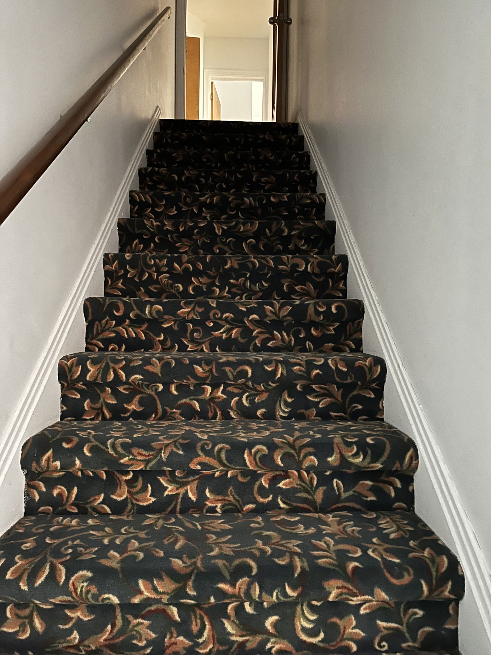 Colocation Montréal 647450