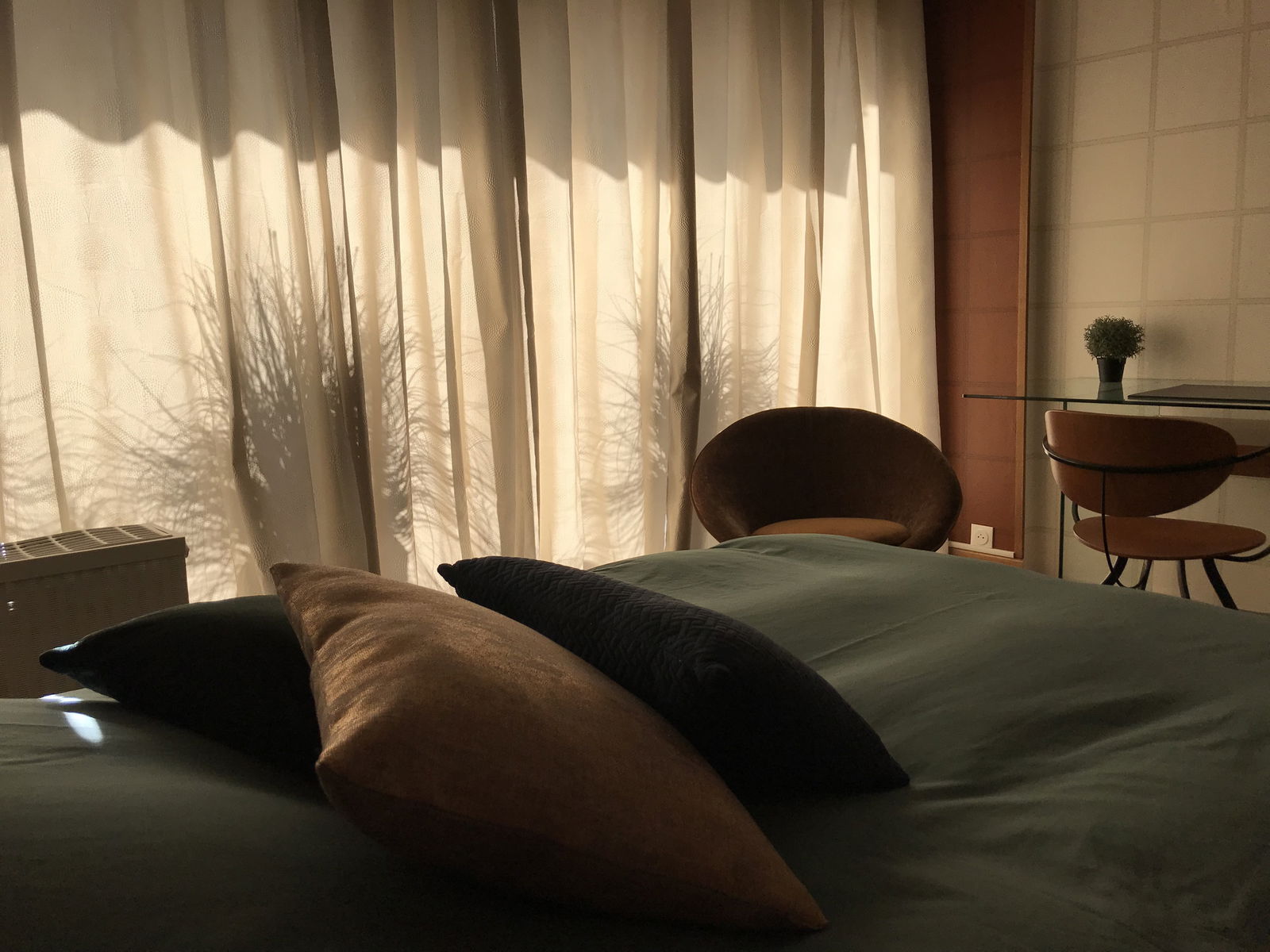 Colocation Bron 234463