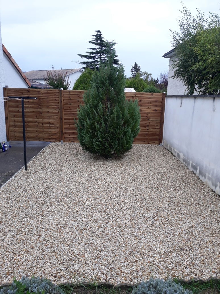 Colocation Angoulême 244073