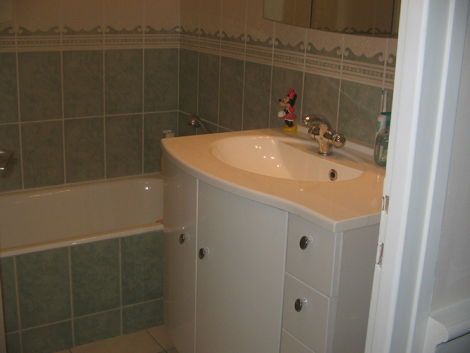 Homestay Grenoble 12475