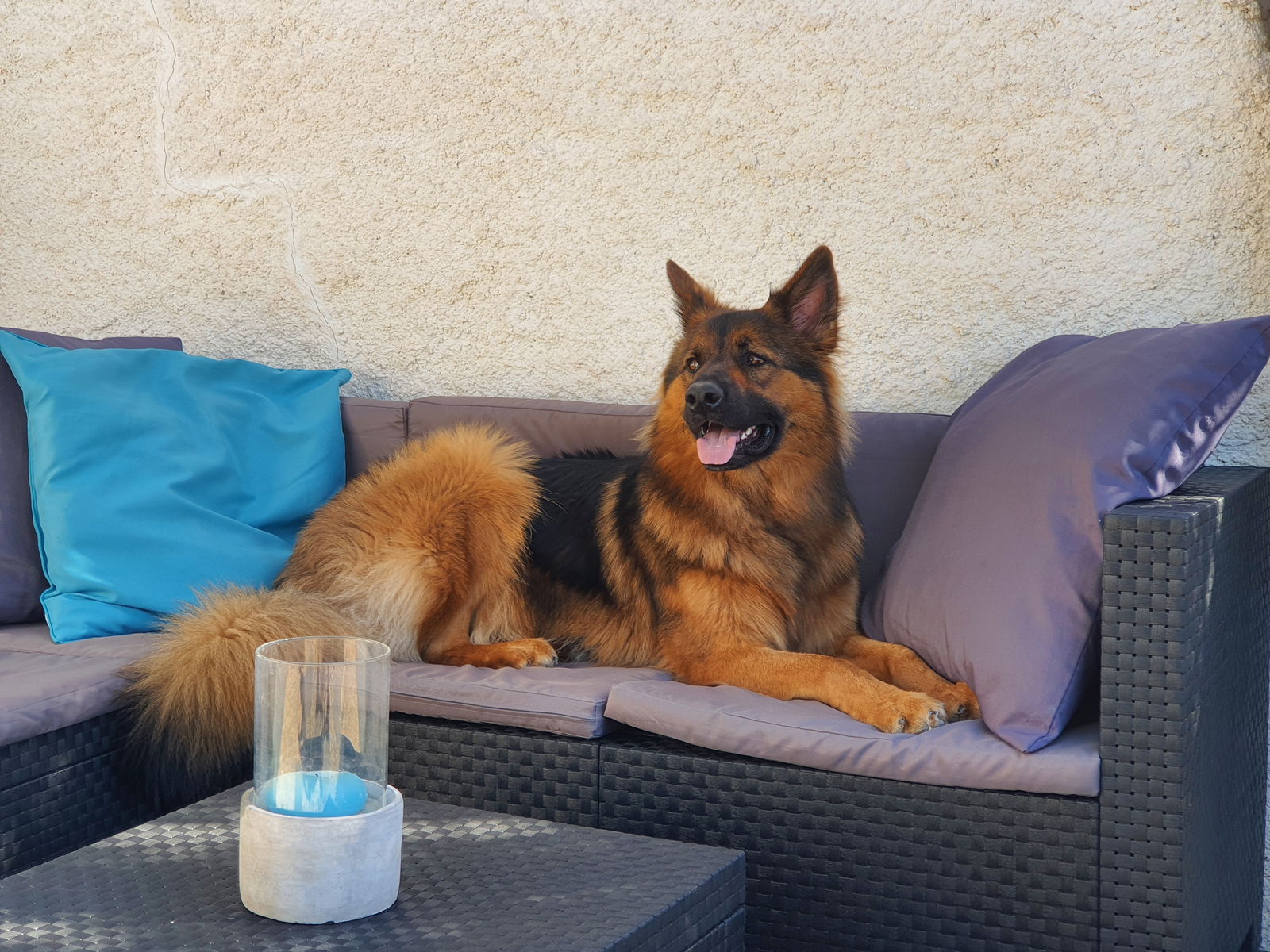 Famiglia Grenade 259582