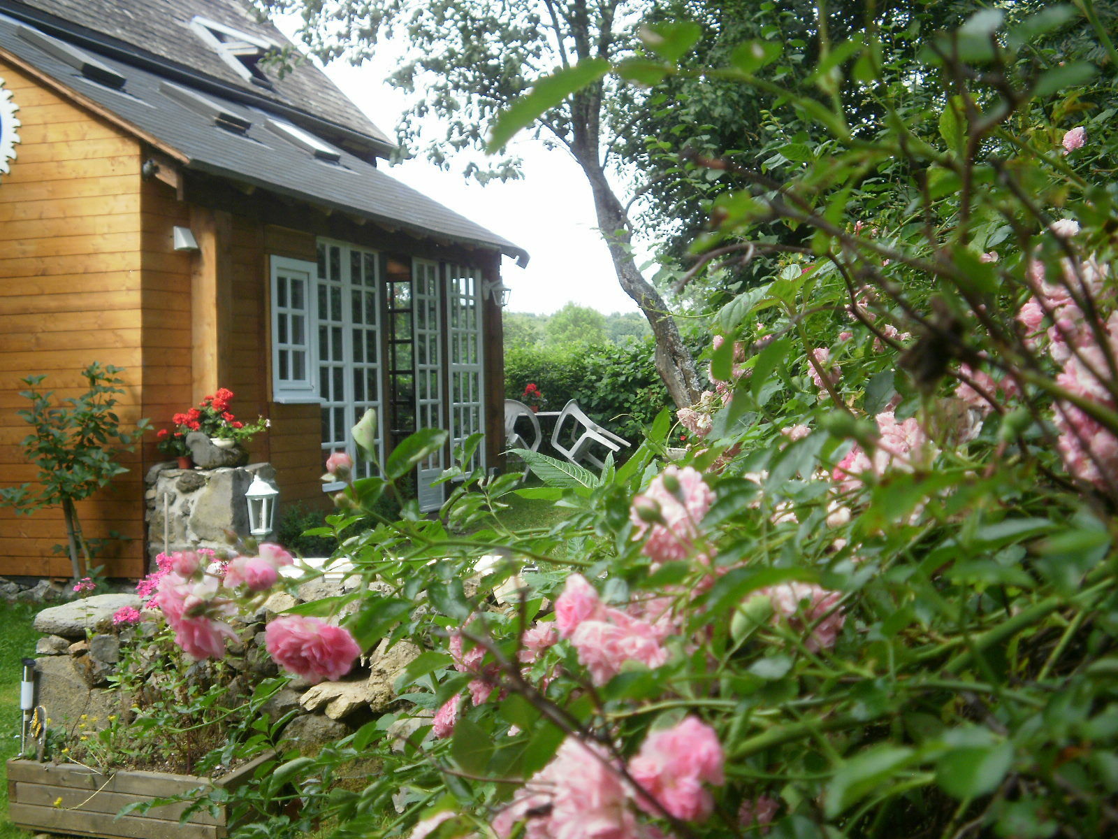 Itsenäinen Studio Olby 79872