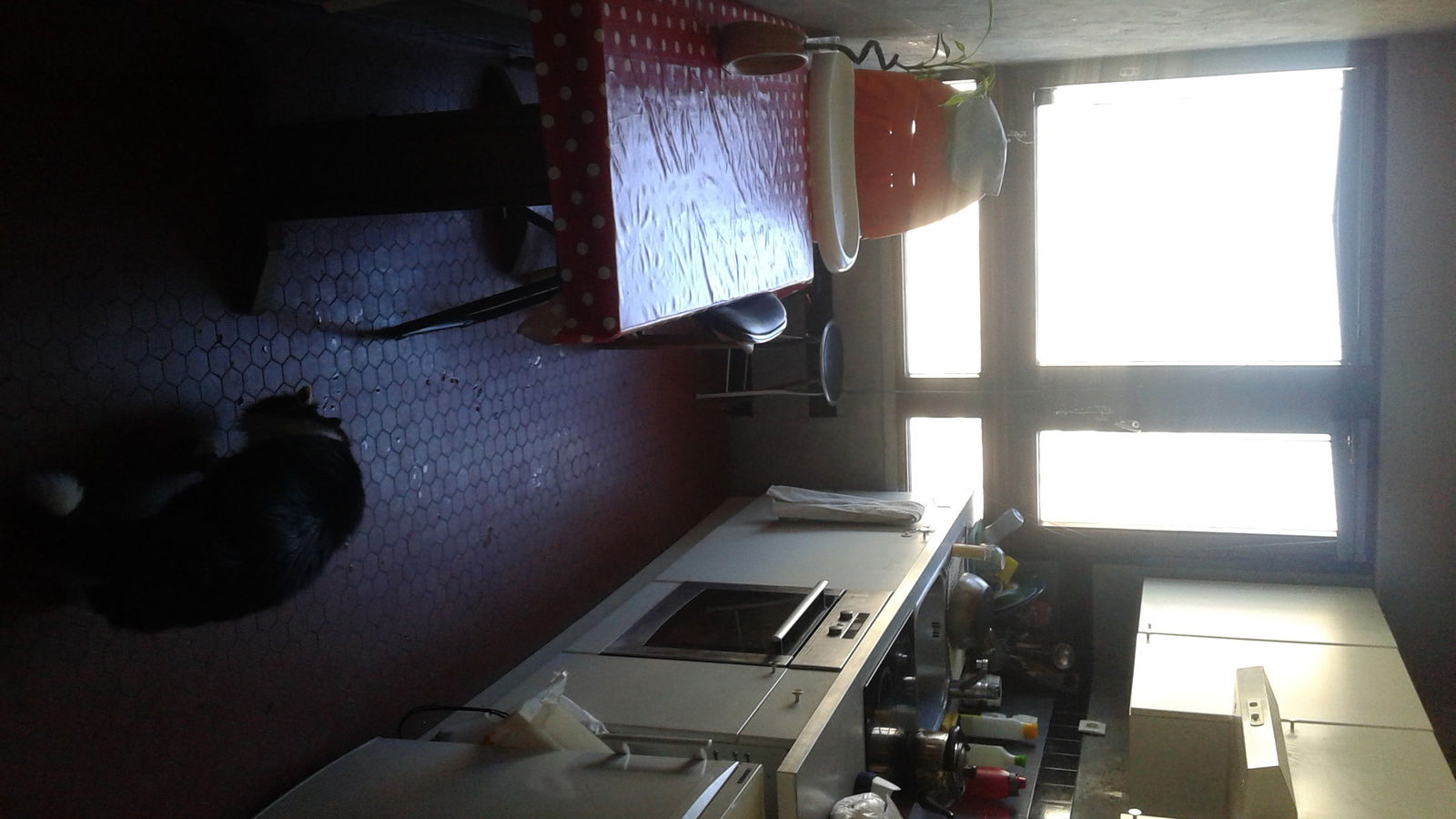 Colocatie Paris 133574