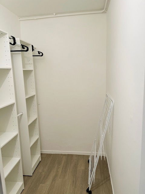 Kolokasie Troyes 247067