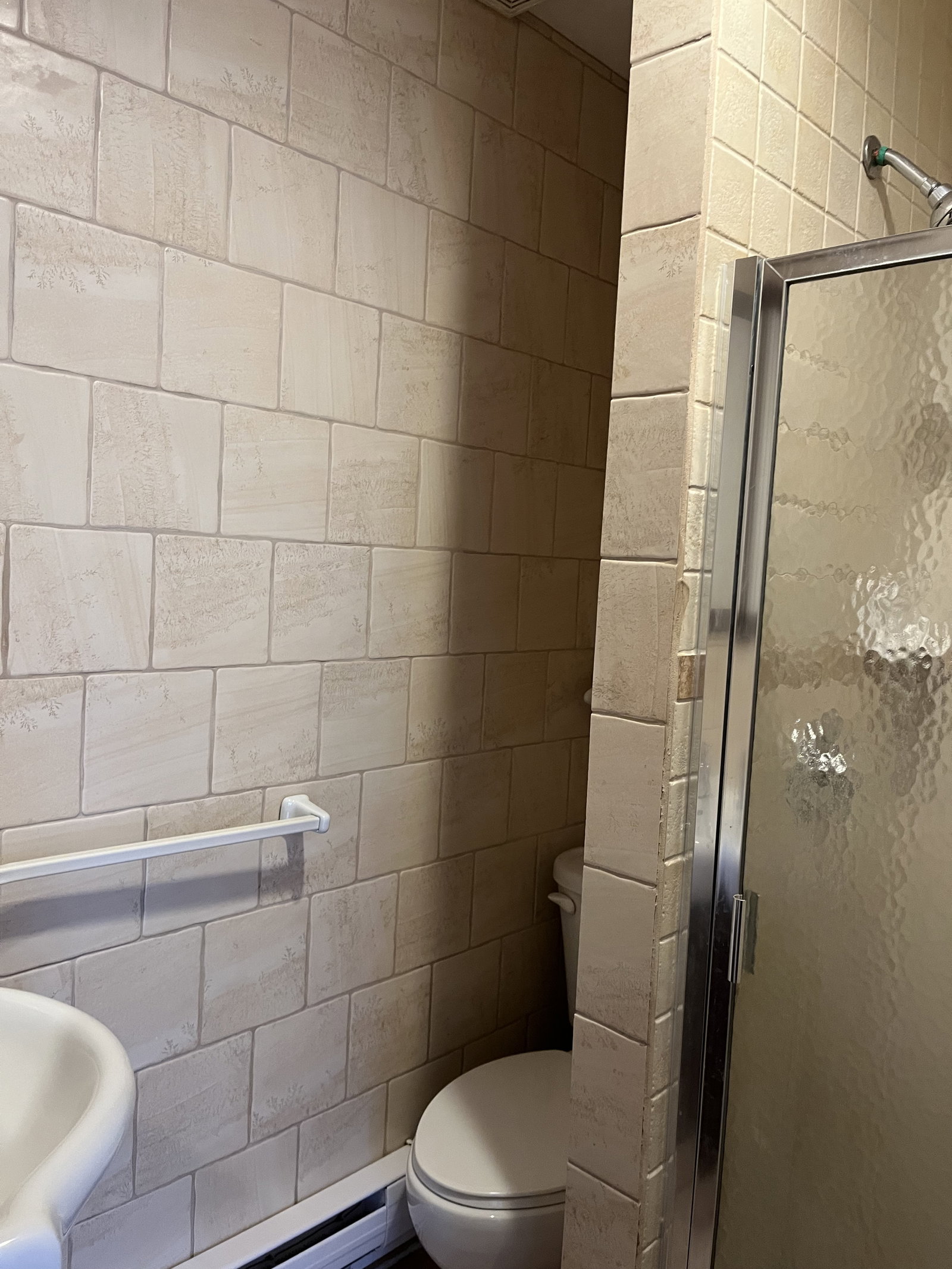 Kolokasie Montréal 647450