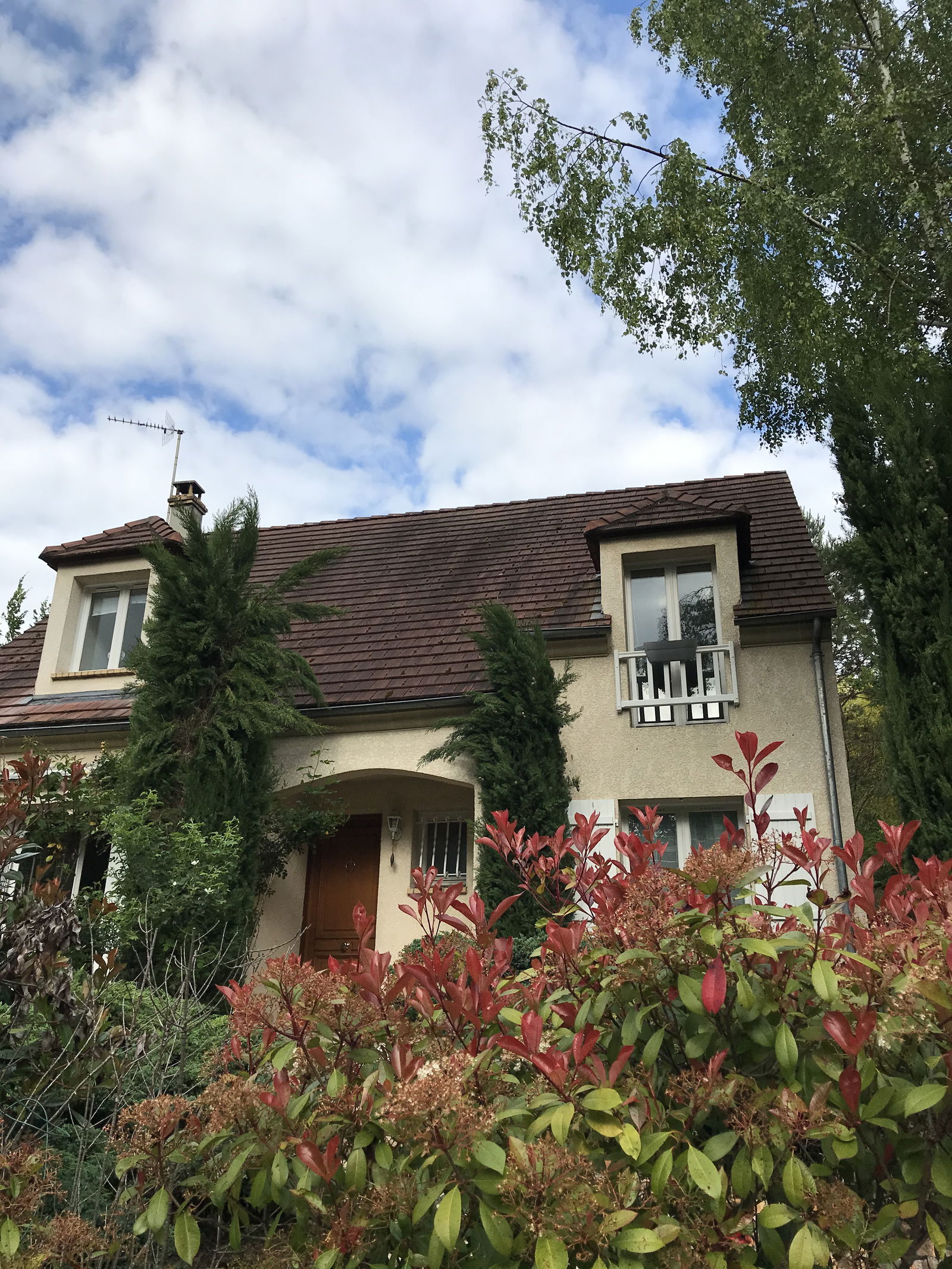 Collocazione Thomery 446139