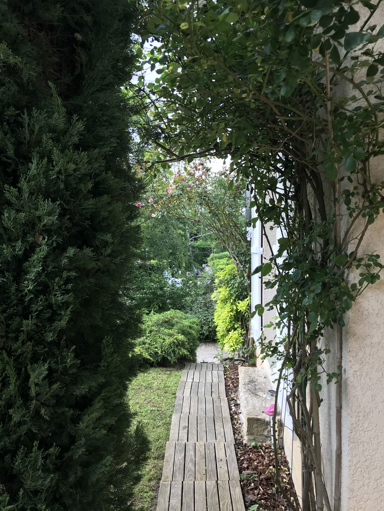 Collocazione Thomery 446139