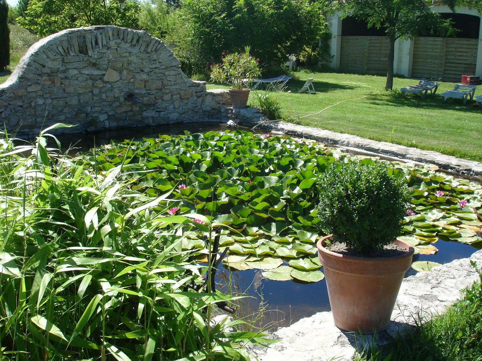 Collocazione L'Isle-sur-la-Sorgue 113094