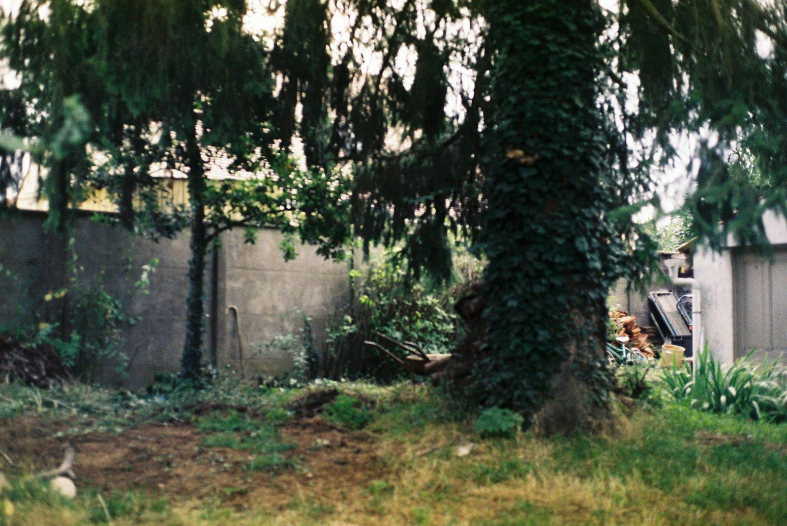 Famiglia Les Granges-le-Roi 122074