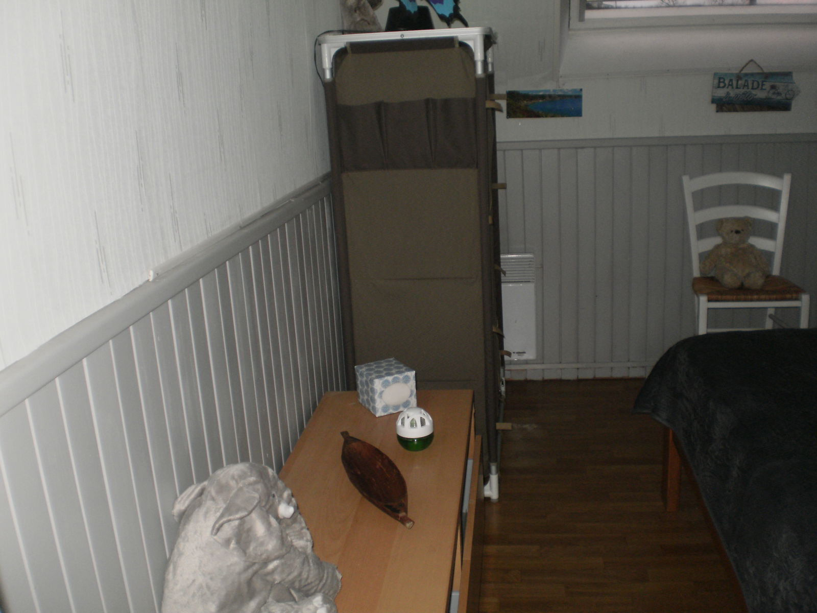 Famiglia Saint-Jouan-de-l'Isle 311889