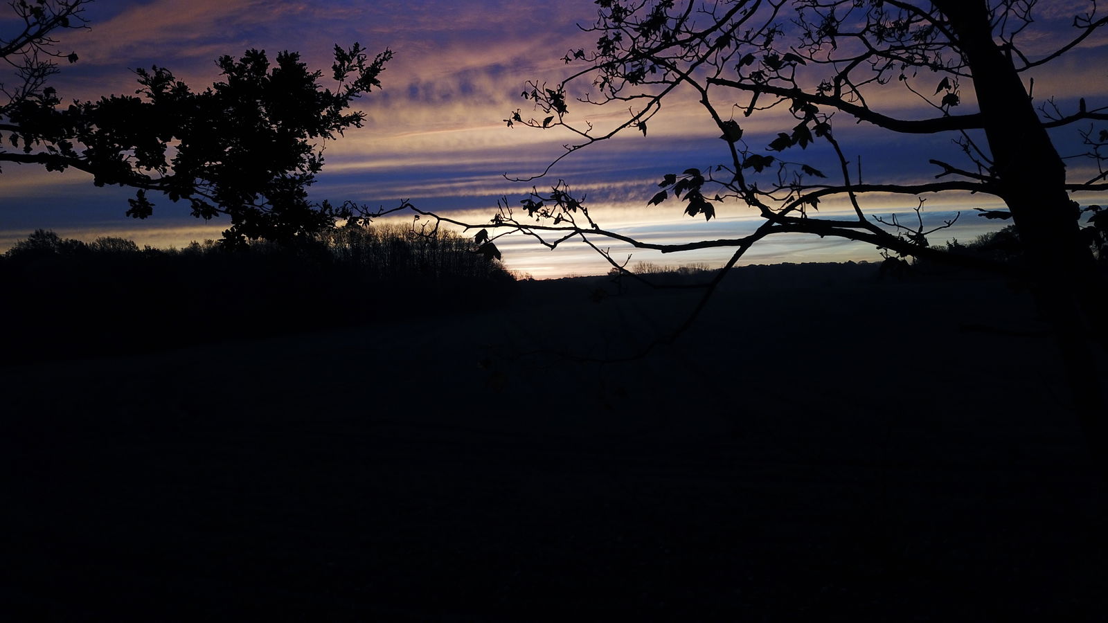 Famiglia Willesborough 187966