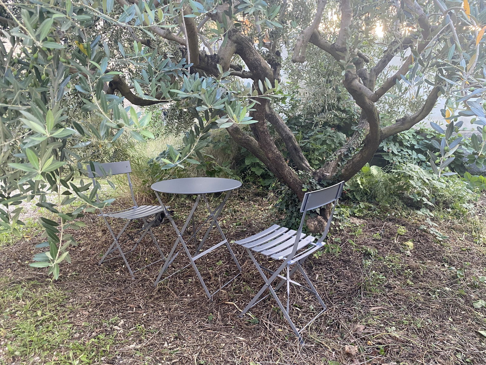 Tutta La Casa Pont-Saint-Esprit 229878