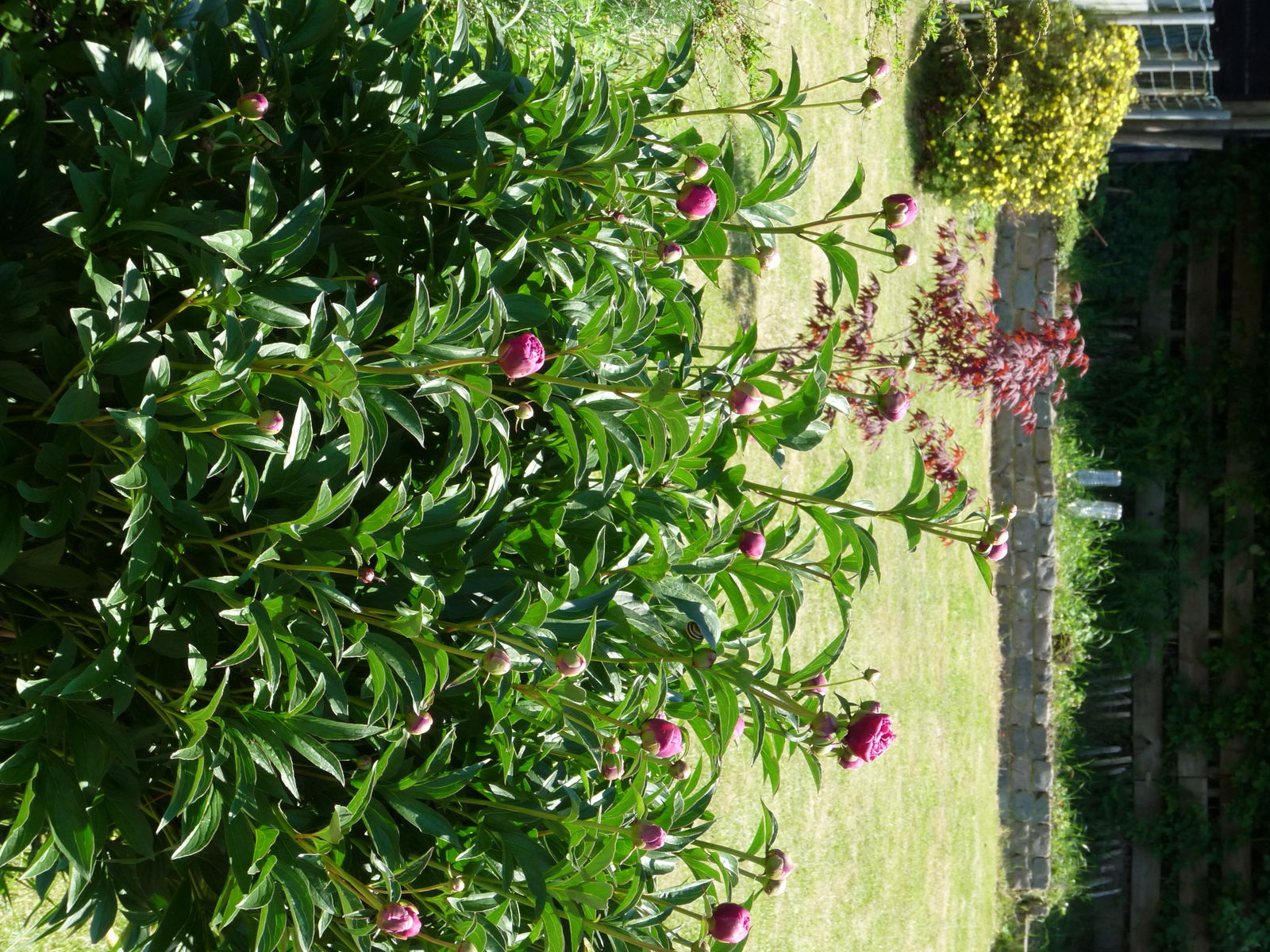 Collocazione Pont-à-Celles 151629