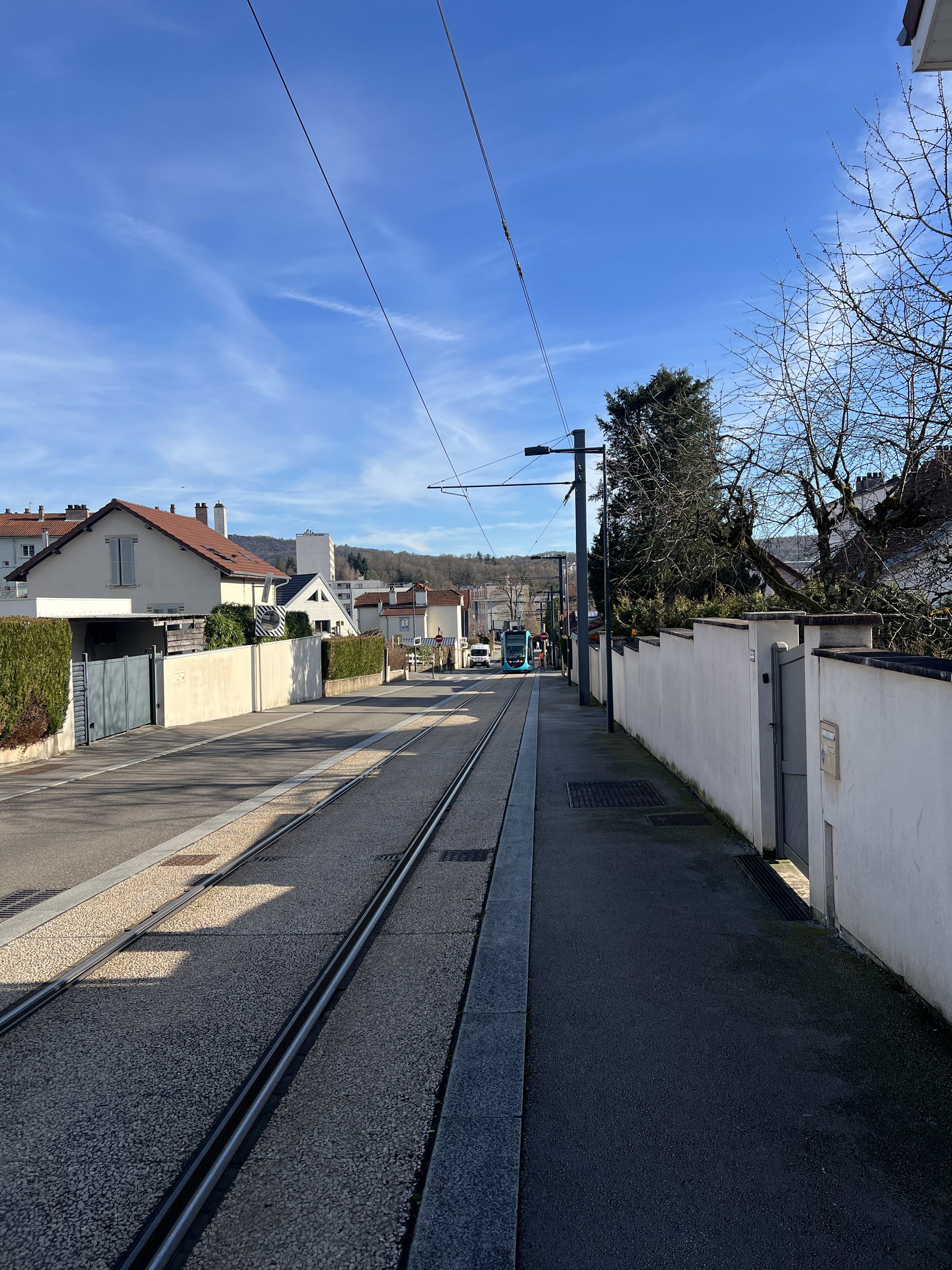 Famiglia Besançon 661520