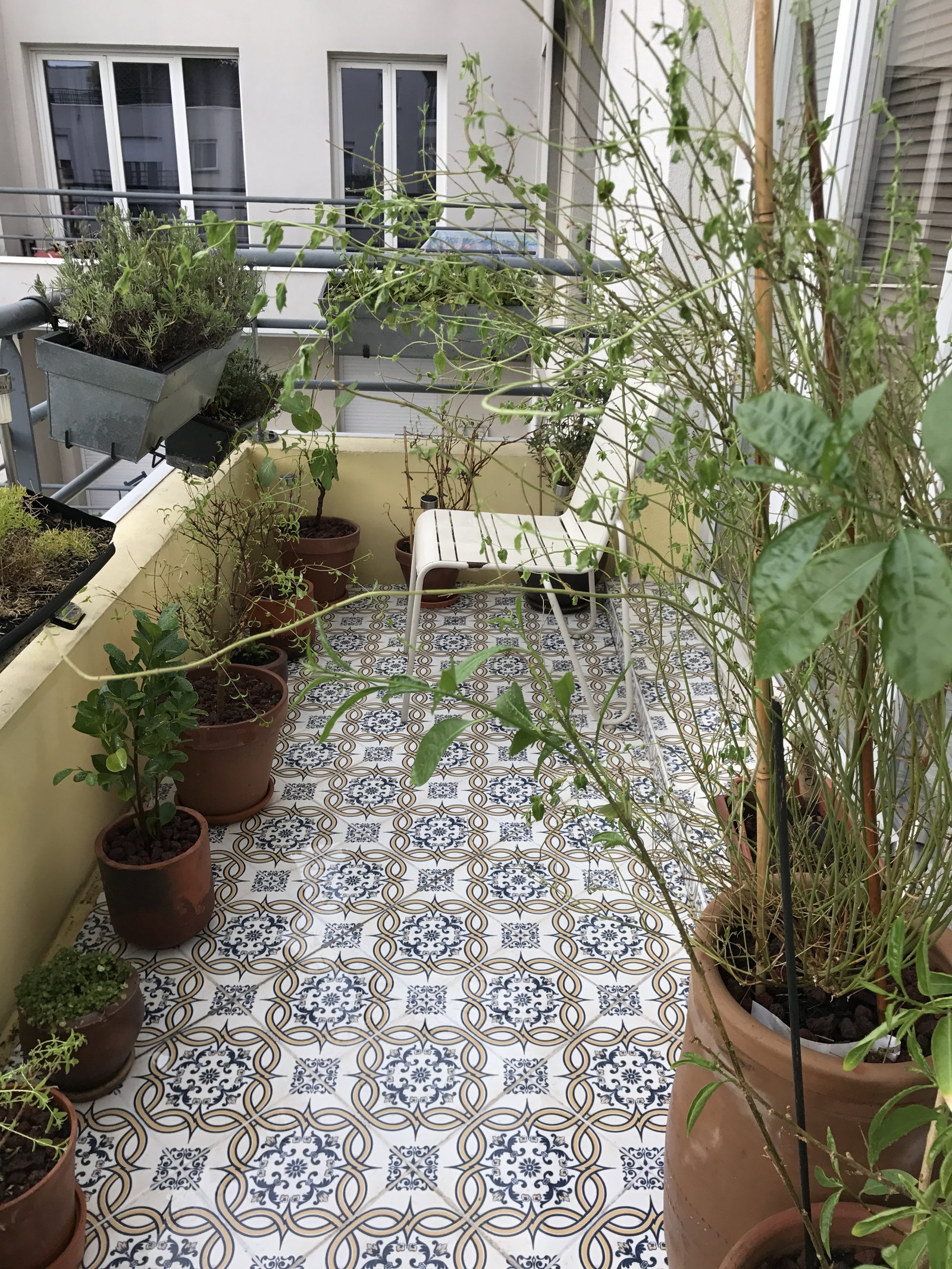 Collocazione Saint-Denis 162806