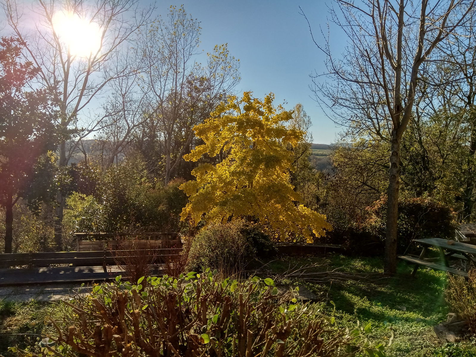 Collocazione Saint-Sylvestre 264542