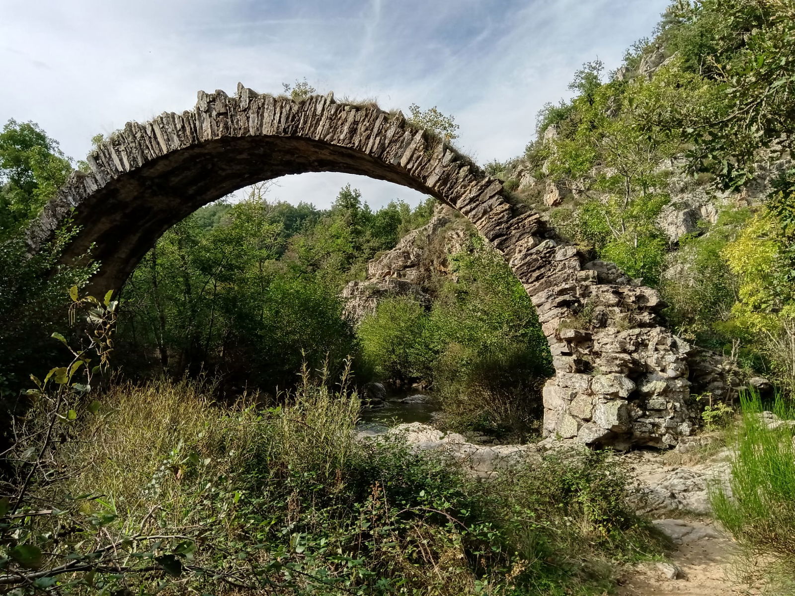 Collocazione Saint-Sylvestre 264542