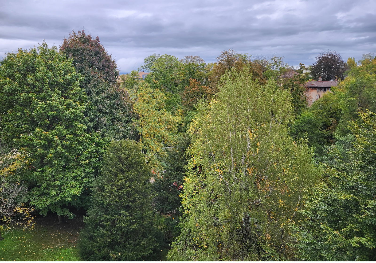 Collocazione Nyon 617712