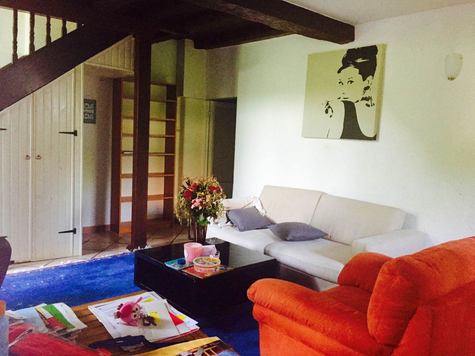 Collocazione Puplinge 109093