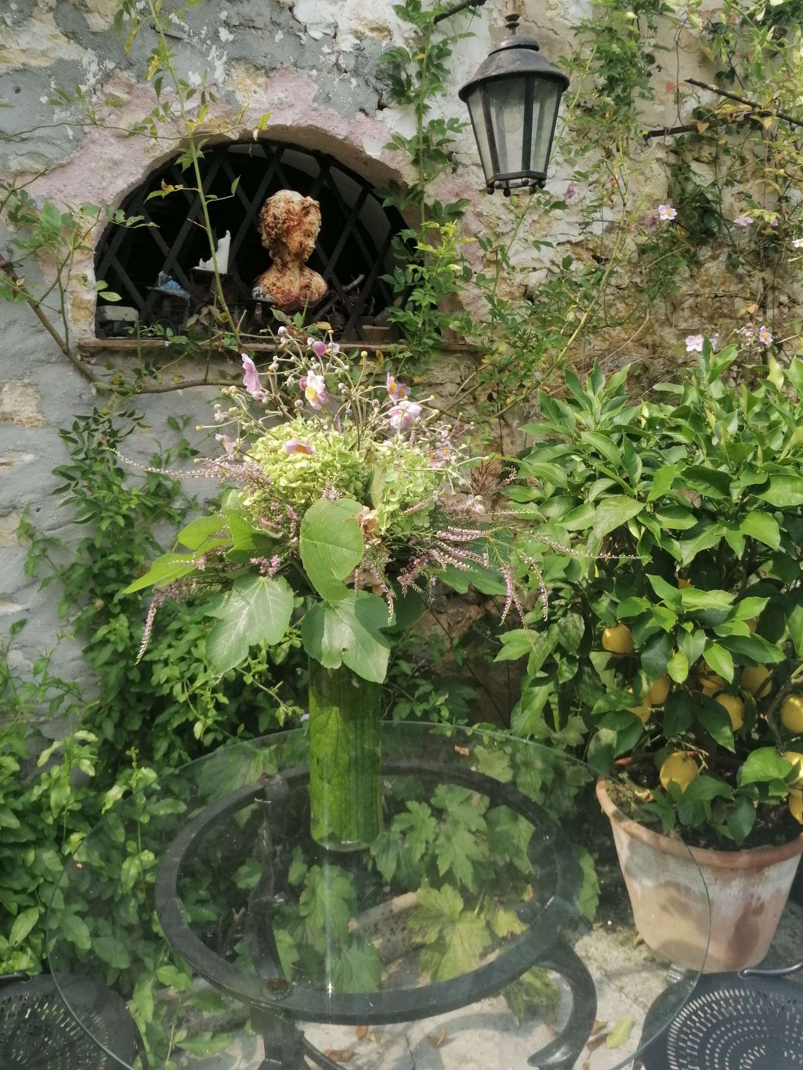 Collocazione Thomery 481387