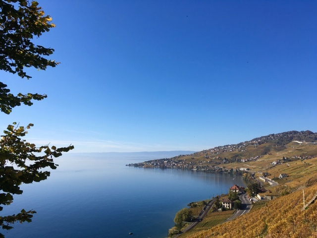 Collocazione Rivaz 240606