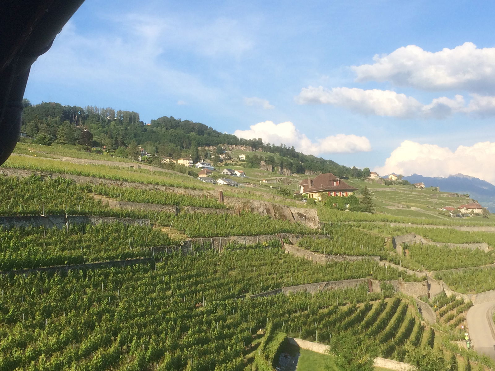 Collocazione Rivaz 240606