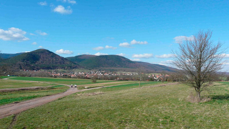 Tutta La Casa Niederhaslach 87397