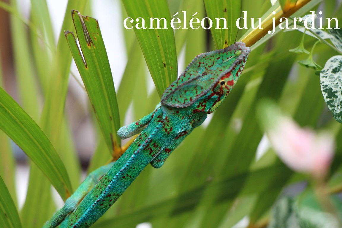 Tutta La Casa undefined 224240