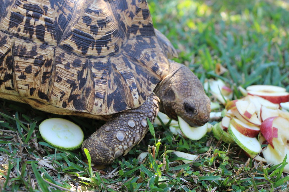 Tutta La Casa undefined 224240