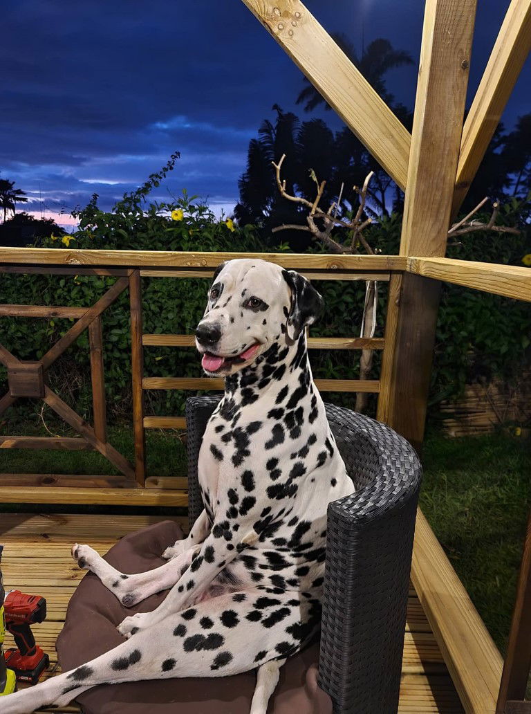 Tutta La Casa undefined 224240