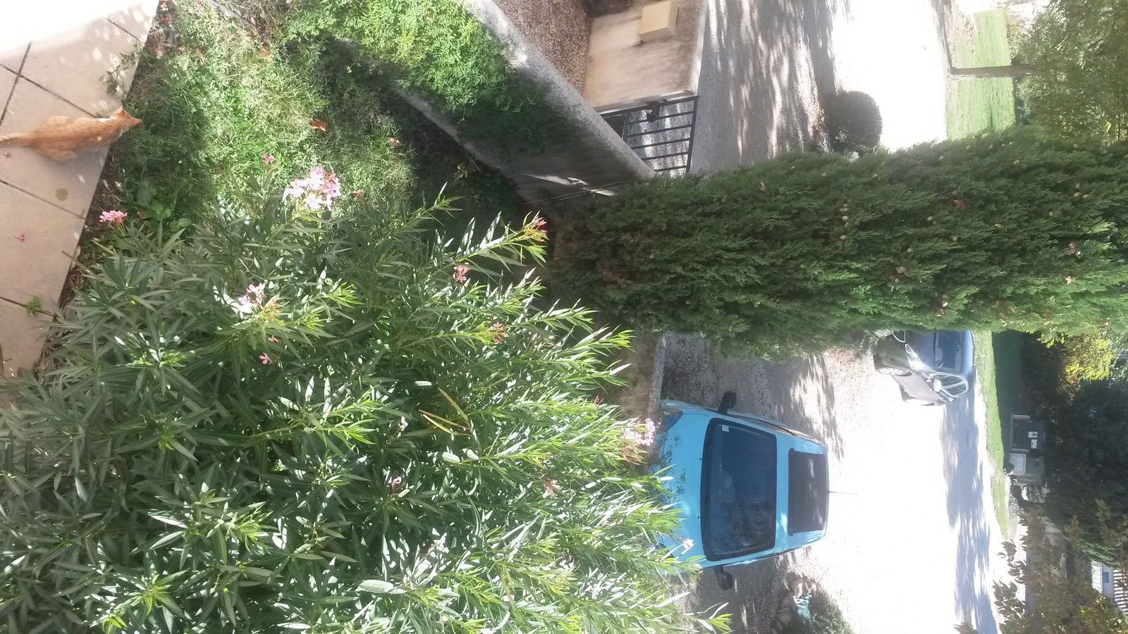 Colocação Graveson 114394