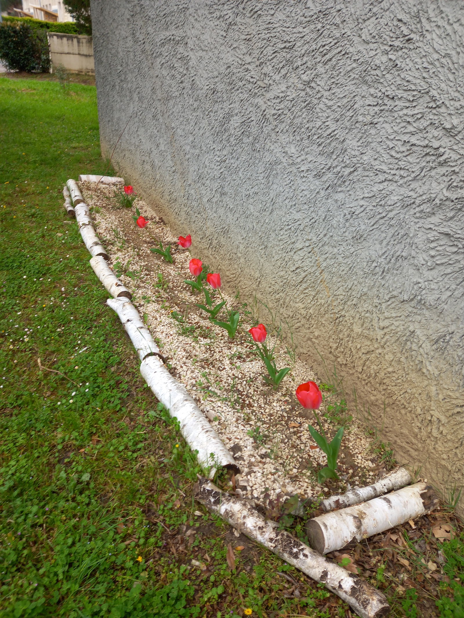 Hospedagem Em Casa De Família Bron 396630