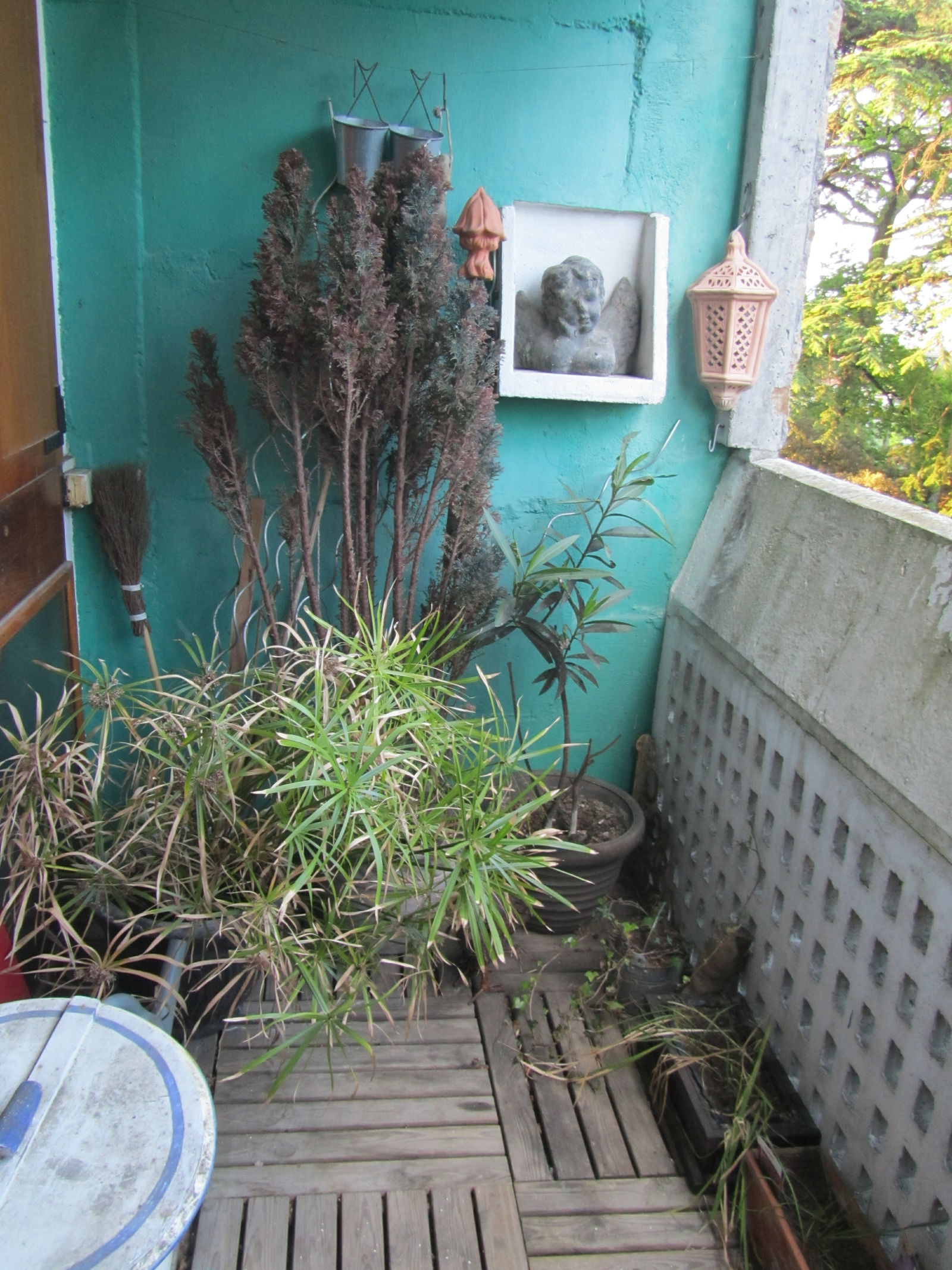 Colocação Rezé 137835