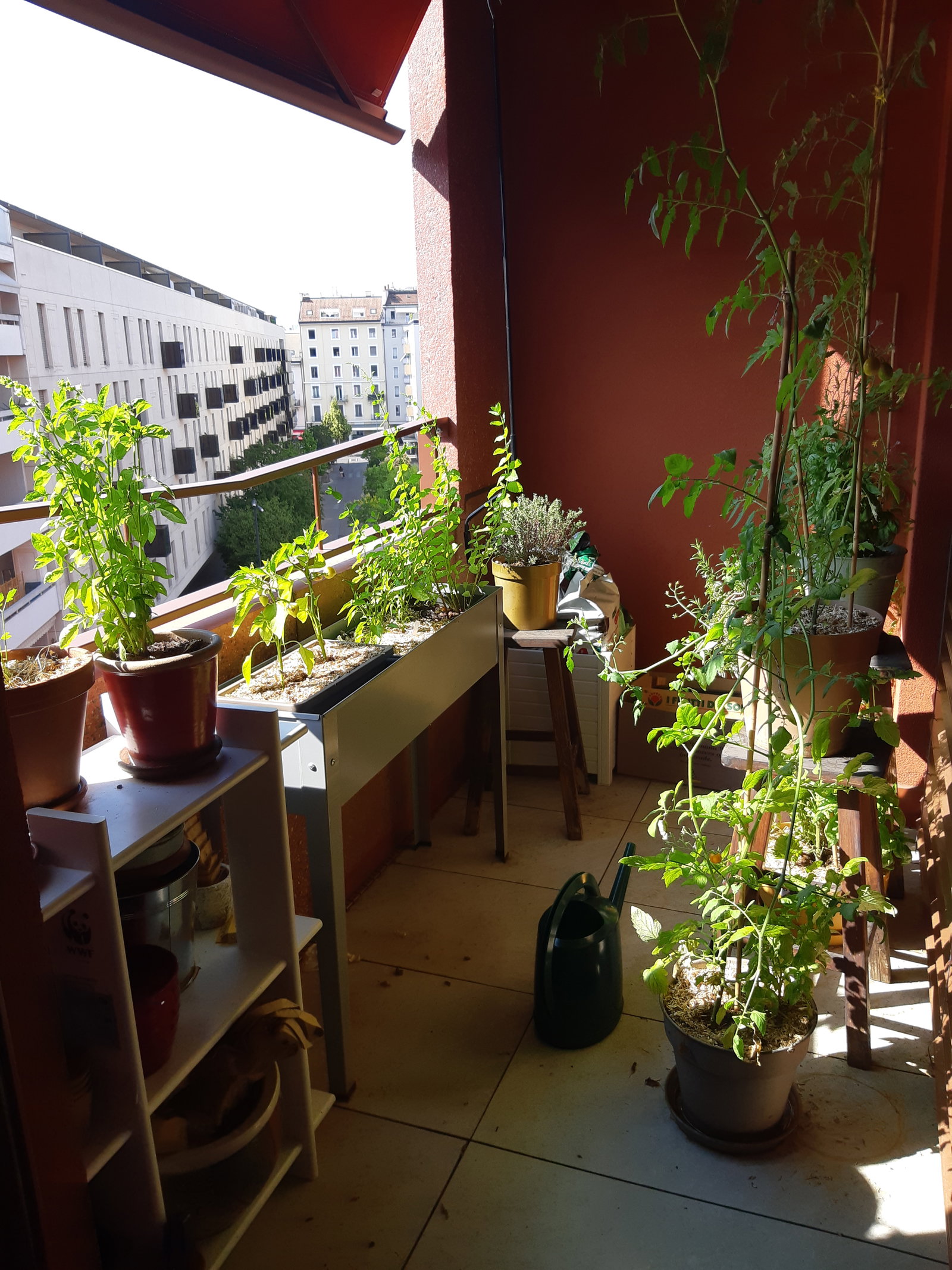 Alojamento Partilhado Carouge 669504